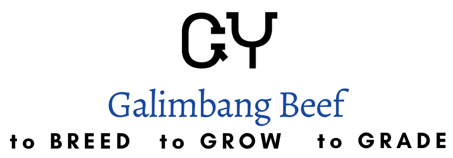 Galimbang Beef logo